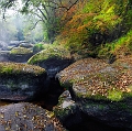 paysage 16_10_11n02
